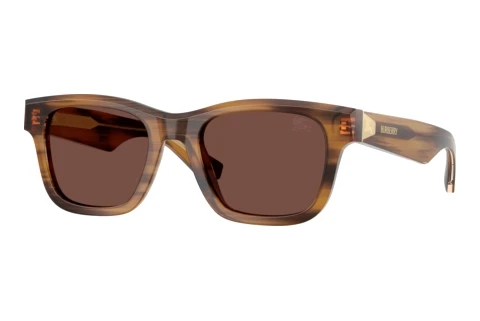 Sonnenbrille Burberry BE4504 425373