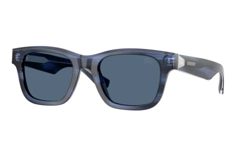 Sonnenbrille Burberry BE4504 425580