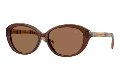 Sonnenbrille Burberry BE4507D 424373