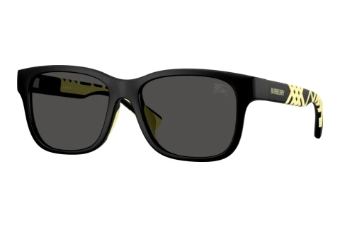Lunettes de soleil Burberry JB4007U 346487