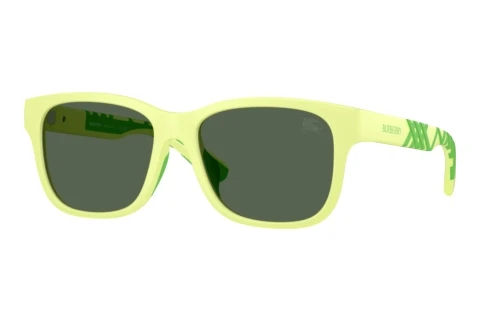 Sonnenbrille Burberry JB4007U 423771
