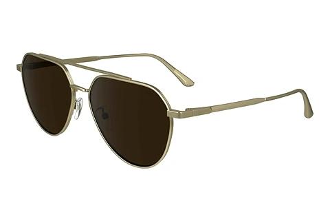 Sonnenbrille Calvin Klein CK24100S 720