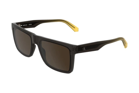 Sonnenbrille Calvin Klein CKJ26601S 209