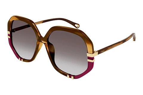 Sonnenbrille Chloé CH0105S 009
