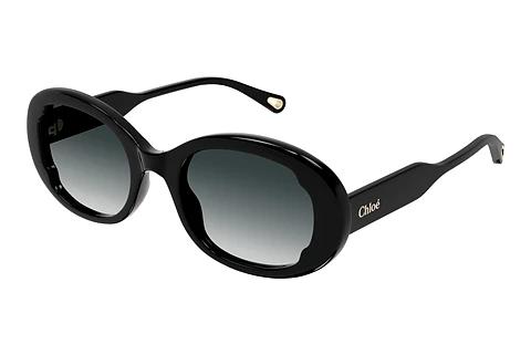 Sonnenbrille Chloé CH0197SA 001
