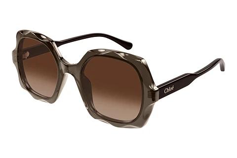 Sonnenbrille Chloé CH0226S 007
