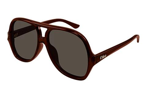Lunettes de soleil Chloé CH0289S 002