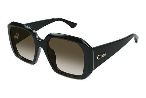 Sonnenbrille Chloé CH0300S 003