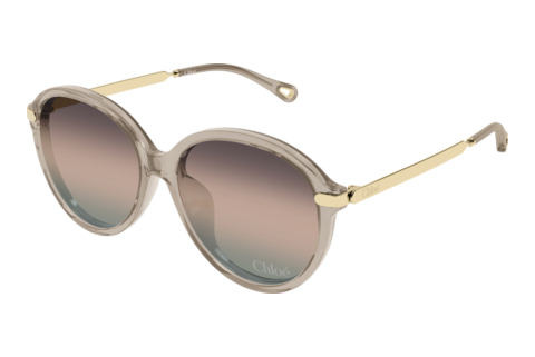Sonnenbrille Chloé CH0358SK 005