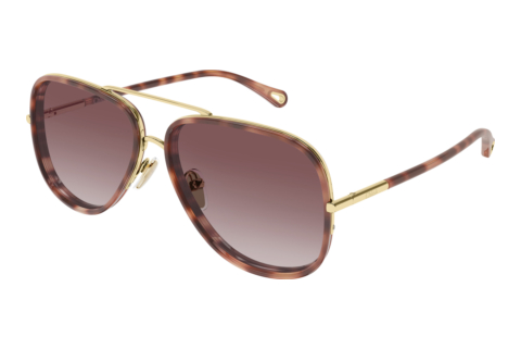 Sonnenbrille Chloé CH0382S 004