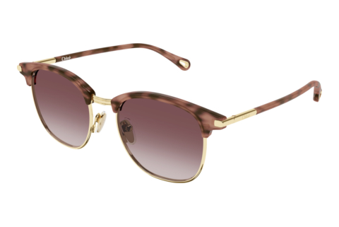 Sonnenbrille Chloé CH0384S 004