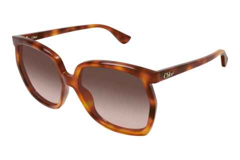 Sonnenbrille Chloé CH0389S 002