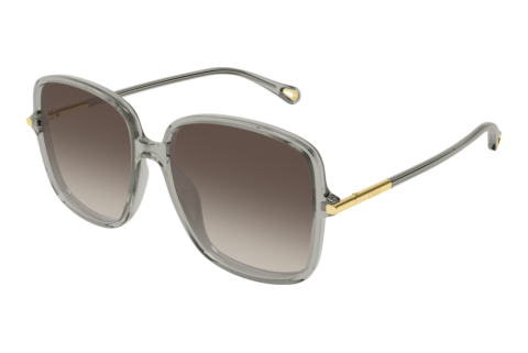 Sonnenbrille Chloé CH0396S 005