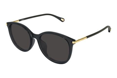Sonnenbrille Chloé CH0397SK 001