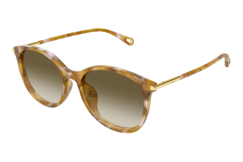 Sonnenbrille Chloé CH0397SK 003