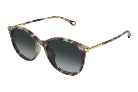 Sonnenbrille Chloé CH0397SK 004