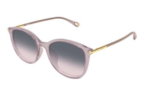 Sonnenbrille Chloé CH0397SK 005