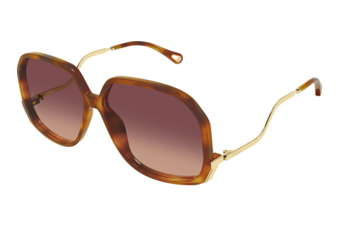 Sonnenbrille Chloé CH0404S 001