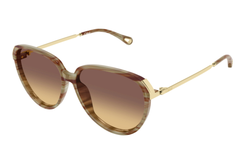 Sonnenbrille Chloé CH0406S 004
