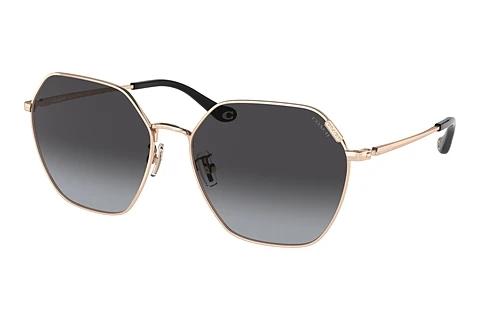 Sonnenbrille Coach C7998 (HC7132 93318G)