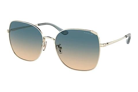 Sonnenbrille Coach C7997 (HC7133 900579)