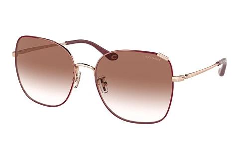 Sonnenbrille Coach C7997 (HC7133 94038D)
