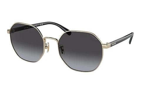 Sonnenbrille Coach CH556 (HC7147 90058G)