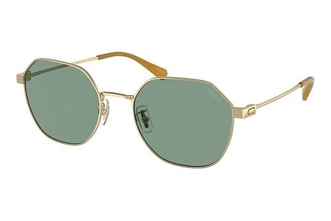 Sonnenbrille Coach CL915 (HC7155 900582)