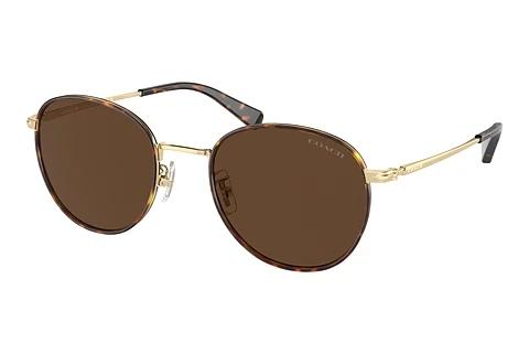 Sonnenbrille Coach CR631 (HC7163 90053G)