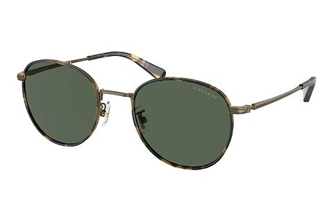Sonnenbrille Coach CR631 (HC7163 933371)