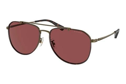 Sonnenbrille Coach CR626 (HC7164 933375)