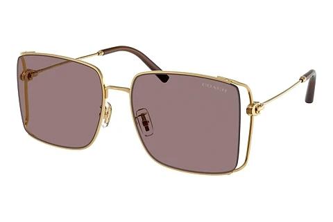 Sonnenbrille Coach CW429 (HC7174D 94417N)