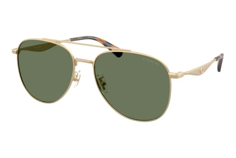 Sonnenbrille Coach CDP40 (HC7190 900582)