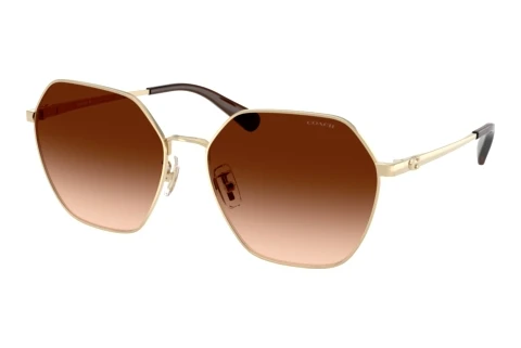 Sonnenbrille Coach CFU05 (HC7194 900574)