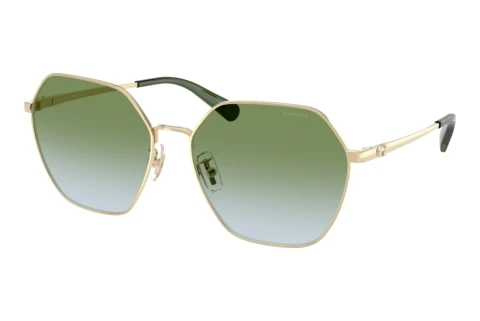 Sonnenbrille Coach CFU05 (HC7194 9005I7)