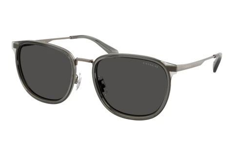 Sonnenbrille Coach CFU13 (HC7195 947287)