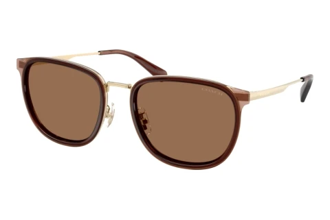 Sonnenbrille Coach CFU13 (HC7195 947473)