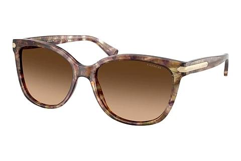 Sonnenbrille Coach L109 (HC8132 528713)