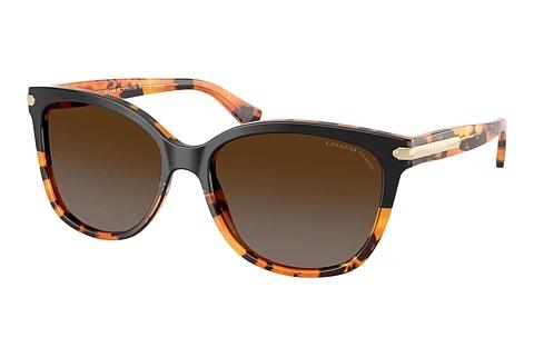 Sonnenbrille Coach L109 (HC8132 5438T5)