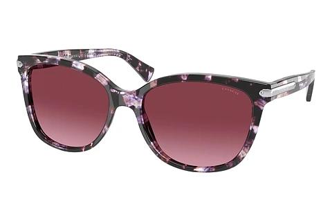 Sonnenbrille Coach L109 (HC8132 55488H)