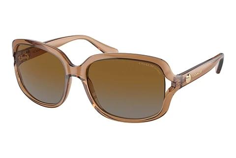 Sonnenbrille Coach L149 (HC8169 5561T5)
