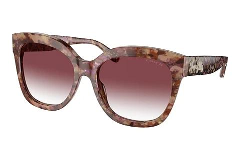 Sonnenbrille Coach L1083 (HC8264 57398H)