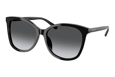 Sonnenbrille Coach L1101 (HC8271U 5002T3)