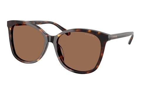 Sonnenbrille Coach L1101 (HC8271U 512073)