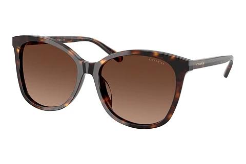 Sonnenbrille Coach L1101 (HC8271U 5120T5)