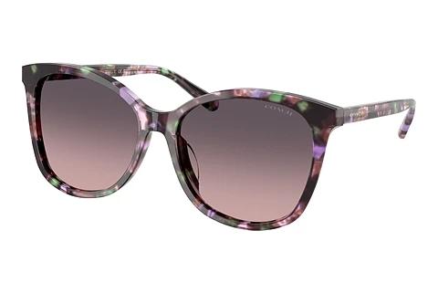 Sonnenbrille Coach L1101 (HC8271U 584346)
