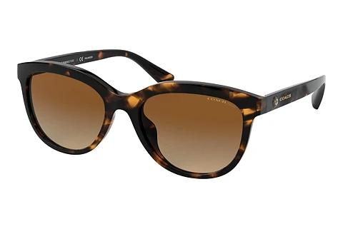 Sonnenbrille Coach L1137 (HC8285U 5120T5)