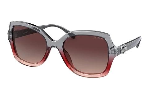 Sonnenbrille Coach L1147 (HC8295 5620E2)