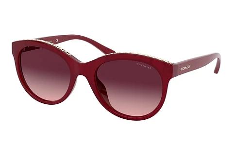 Sonnenbrille Coach L1149 (HC8297U 56158H)