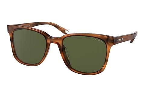 Sonnenbrille Coach C2095 (HC8313U 558171)